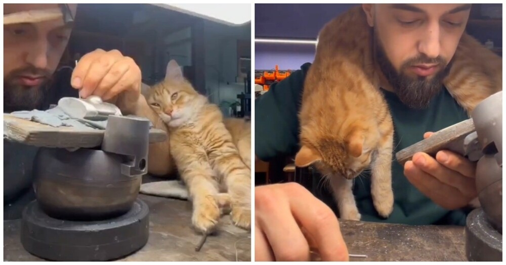 
        Пушистый помощник ювелира    