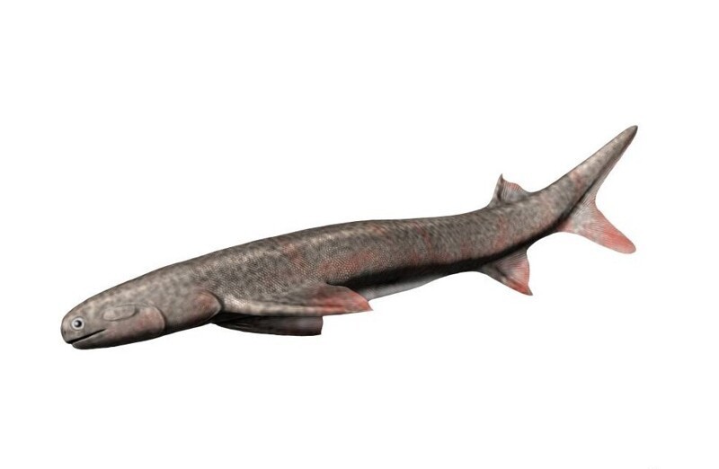 8 исторических фактов, в которые невозможно поверить, но они реальны
8 исторических фактов, в которые невозможно поверить, но они реальны