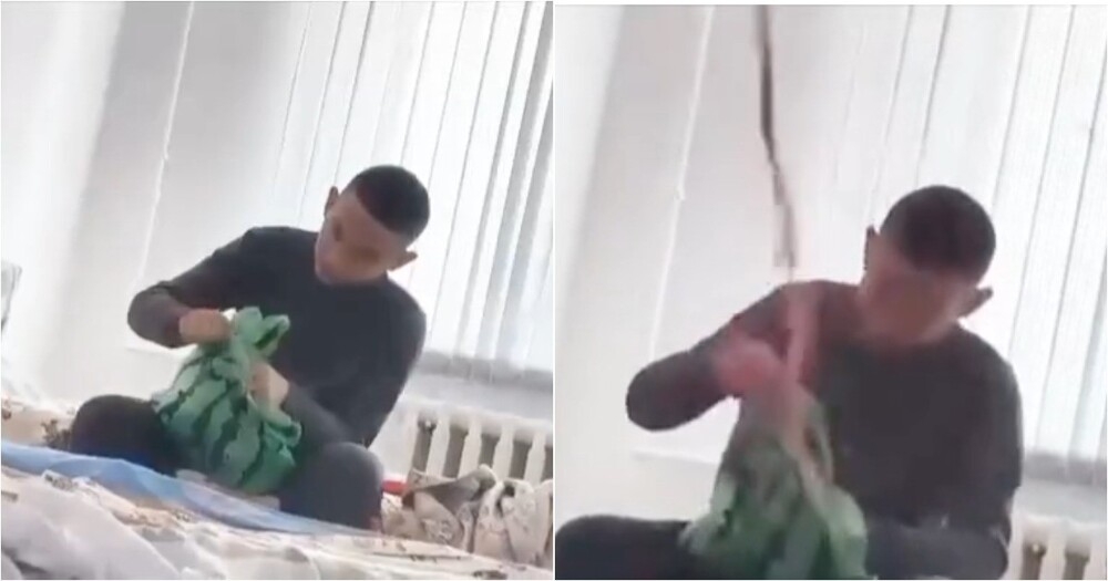 
        Аджика устроила красочный фейерверк    