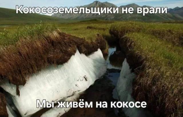 Смешные картинки