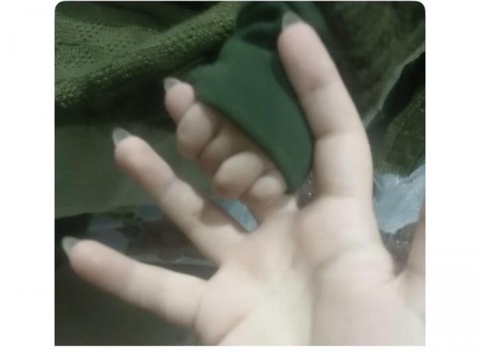 Перспектива любит и умеет нас мастерски троллить