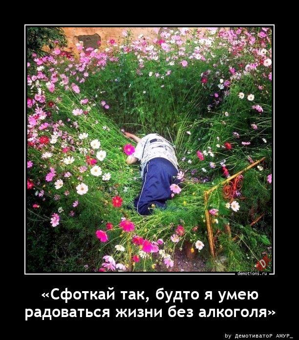 
			Демотиваторы №3786 (15 фото)