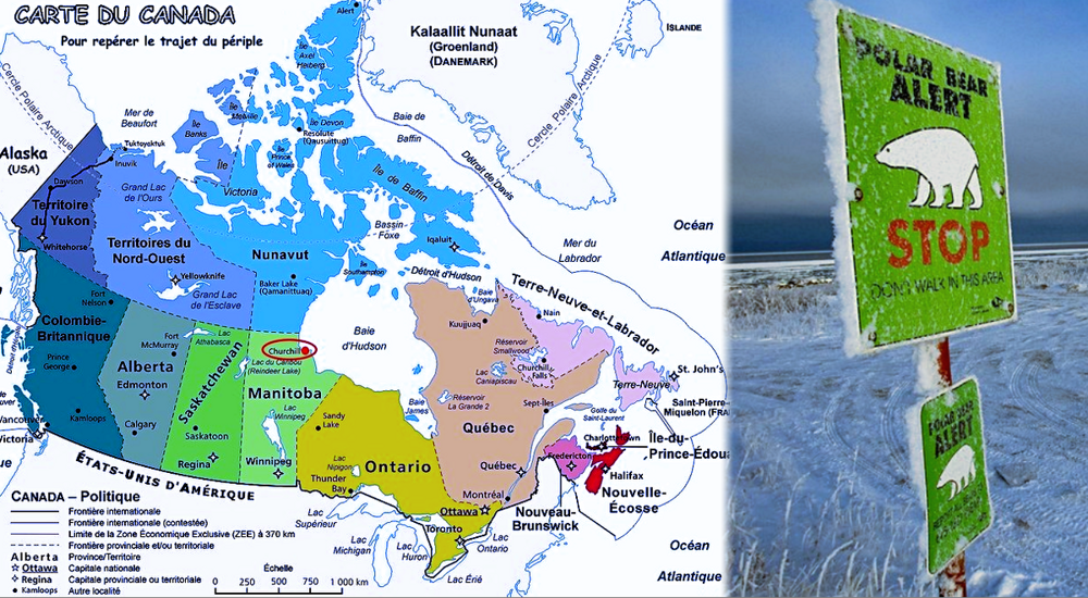 
        Где&nbsp;находится единственная в&nbsp;мире тюрьма для&nbsp;белых медведей?    