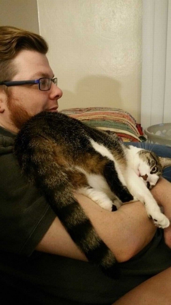 
        20+ питомцев, которые не&nbsp;могут существовать без&nbsp;своего человека    