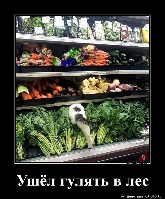 
			Демотиваторы №3785 (18 фото)