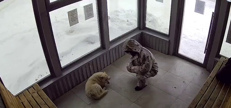 
        В&nbsp;Нефтекамске мужик решил самоутвердиться за&nbsp;счёт собаки, избив её&nbsp;на&nbsp;ровном месте    