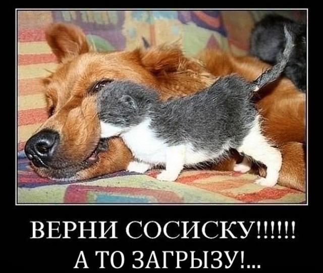 
			Демотиваторы №3784 (15 фото)