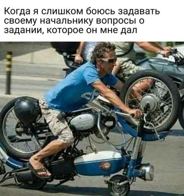 Смешные картинки