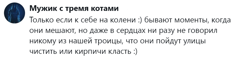 
        &laquo;Цыганам или&nbsp;в&nbsp;кошачий детдом&raquo;: пользователи назвали места, куда грозят отдать кота после переполнения чаши терпения    