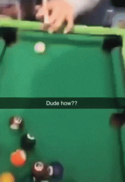 Подборка гифок - (25 гифок) 04.02.2026