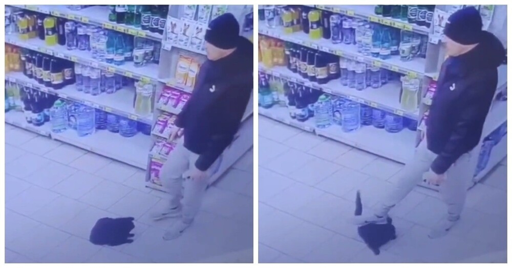 Мужчина наступил на кота в магазине
Мужчина наступил на кота в магазине