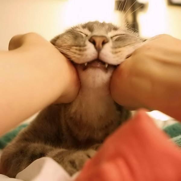 Подборка прикольных фото №3882