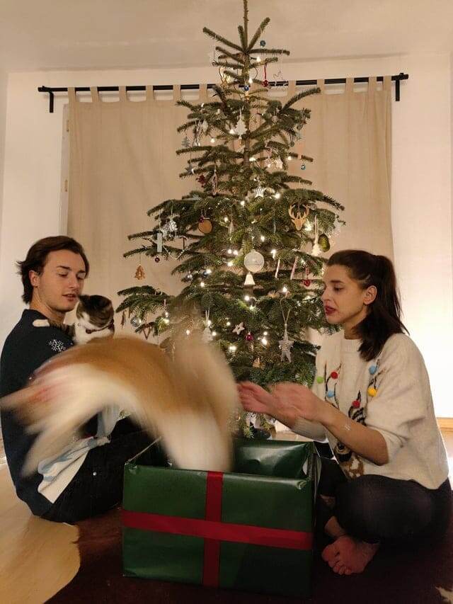 
        18&nbsp;фотографий котиков, которые оказались не&nbsp;в&nbsp;фокусе    