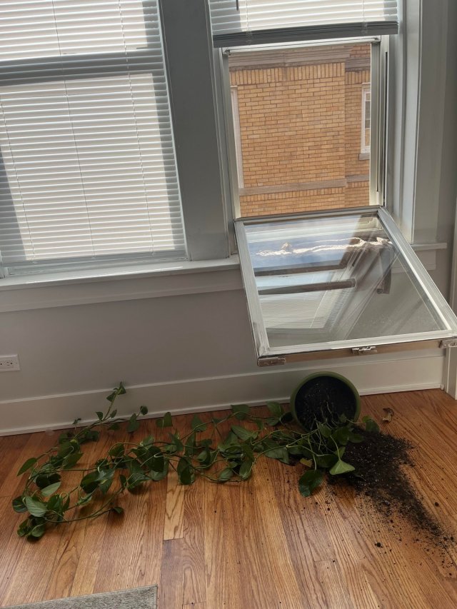 Неприятности случаются (27 фото)