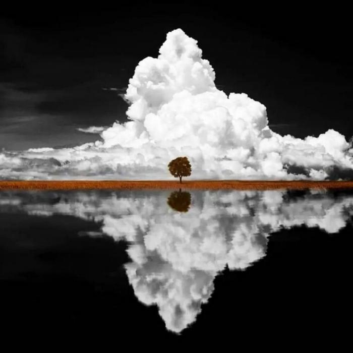 Подборка прикольных фото №3895