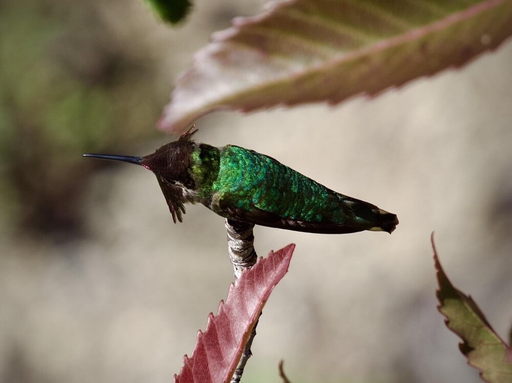 
        30&nbsp;снимков, запечатлевших простую красоту нашего мира    