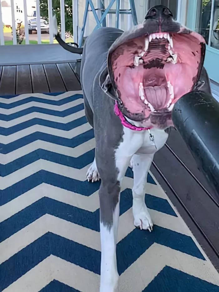 Подборка прикольных фото №3893