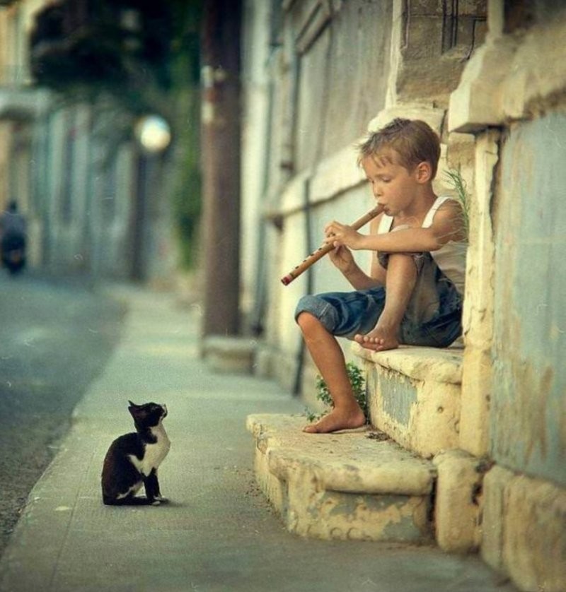 23 крупных плана уличных котов, которые доказывают, что пушистые главные на районе и в жизни
23 крупных плана уличных котов, которые доказывают, что пушистые главные на районе и в жизни