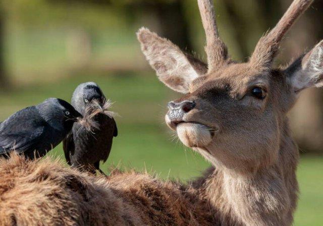 Подборка прикольных фото №3883