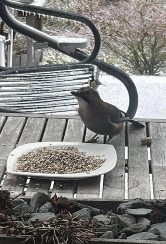 Подборка прикольных фото №3887