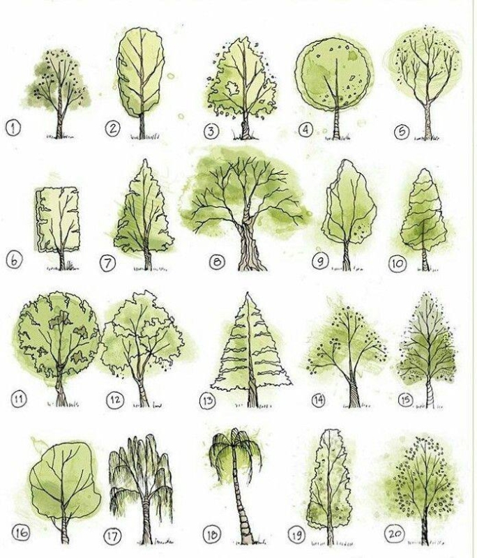 История №1579457