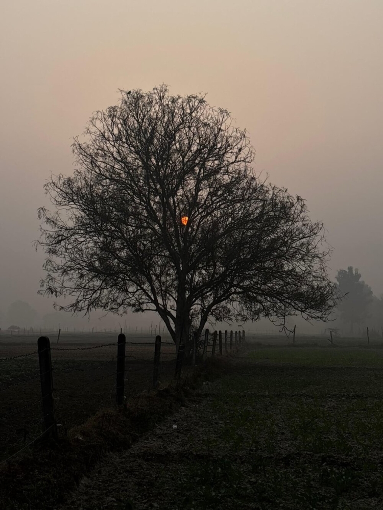 
        30&nbsp;фото, доказывающих, что&nbsp;чудо гораздо ближе, чем&nbsp;мы&nbsp;думаем    
