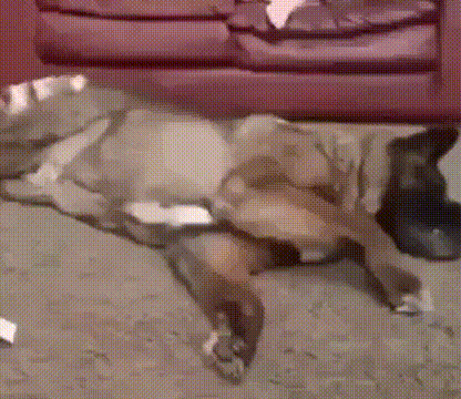 Подборка гифок - (25 гифок) 04.02.2026