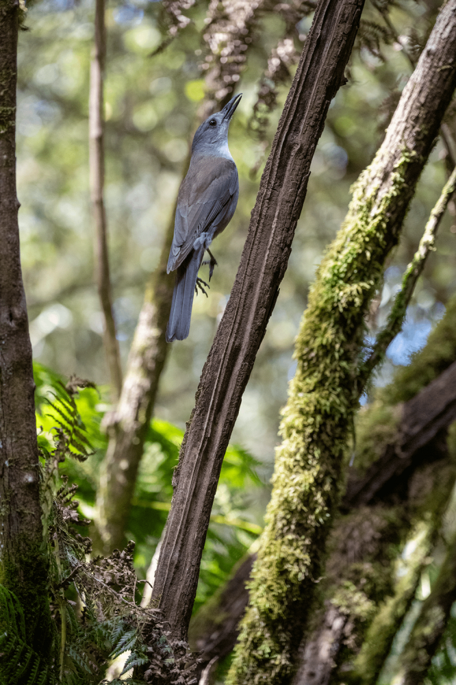 
        30&nbsp;снимков, запечатлевших простую красоту нашего мира    