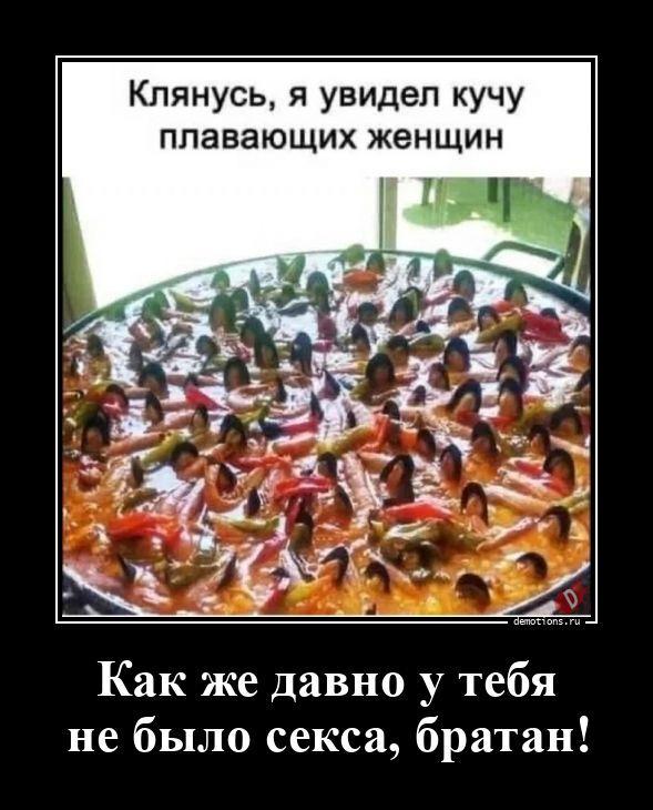 
			Демотиваторы №3783 (15 фото)