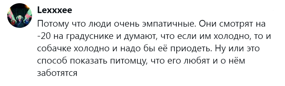 Собачники и не только обсуждают собачий дресс-код, который эволюционировал от свободы к пуховику
Собачники и не только обсуждают собачий дресс-код, который эволюционировал от свободы к пуховику