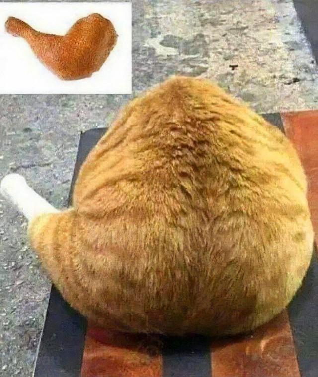 Подборка прикольных фото №3893