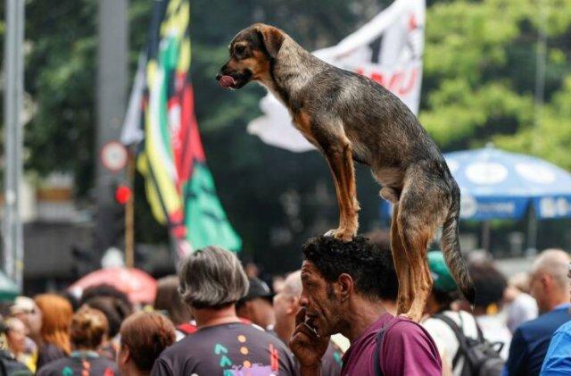 Подборка прикольных фото №3883