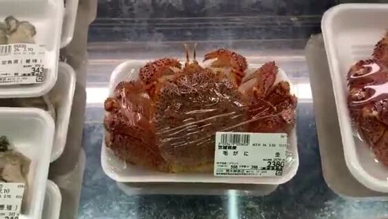 
        Краб настолько свежий, что&nbsp;уже&nbsp;ищет путь к&nbsp;воде    