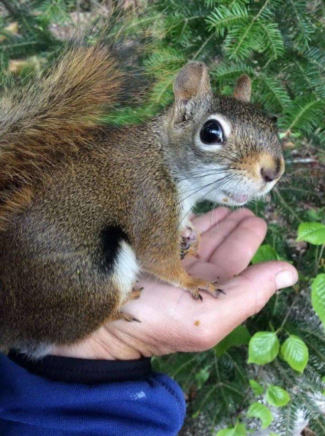 Подборка прикольных фото №3882