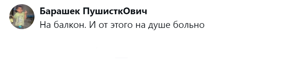 
        &laquo;Цыганам или&nbsp;в&nbsp;кошачий детдом&raquo;: пользователи назвали места, куда грозят отдать кота после переполнения чаши терпения    
