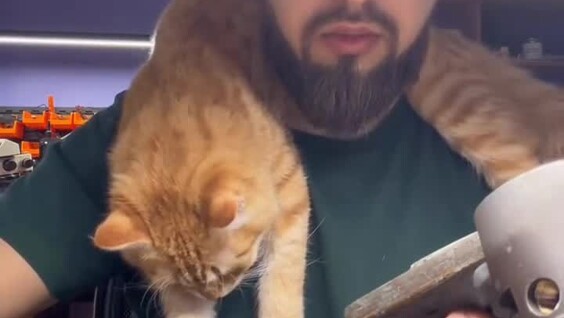 
        Пушистый помощник ювелира    