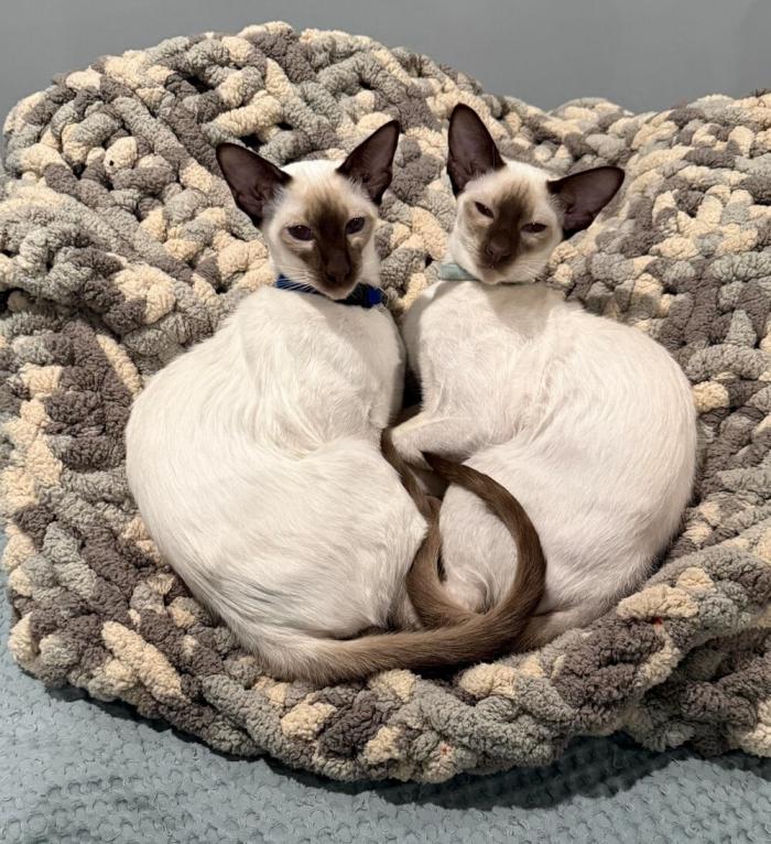 Подборка прикольных фото №3896