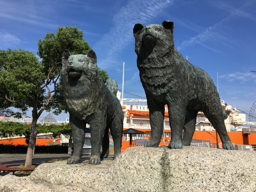 
        Антарктическая одиссея двух хаски: как&nbsp;Таро и&nbsp;Дзиро победили Антарктиду    