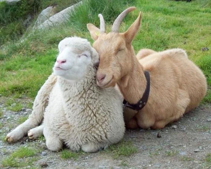 Подборка прикольных фото №3887