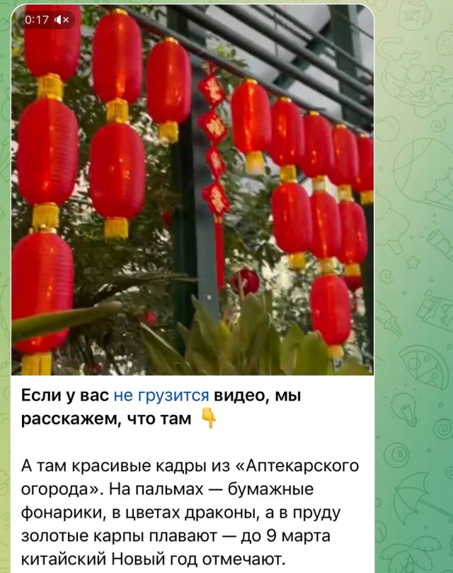 Лучшие шутки и мемы из про блокировку Телеграм в России Лучшие шутки и мемы из про блокировку Телеграм в России