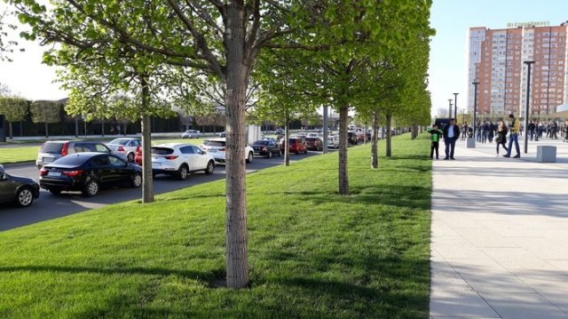 Подборка фотографий для перфекционистов (18 фото)