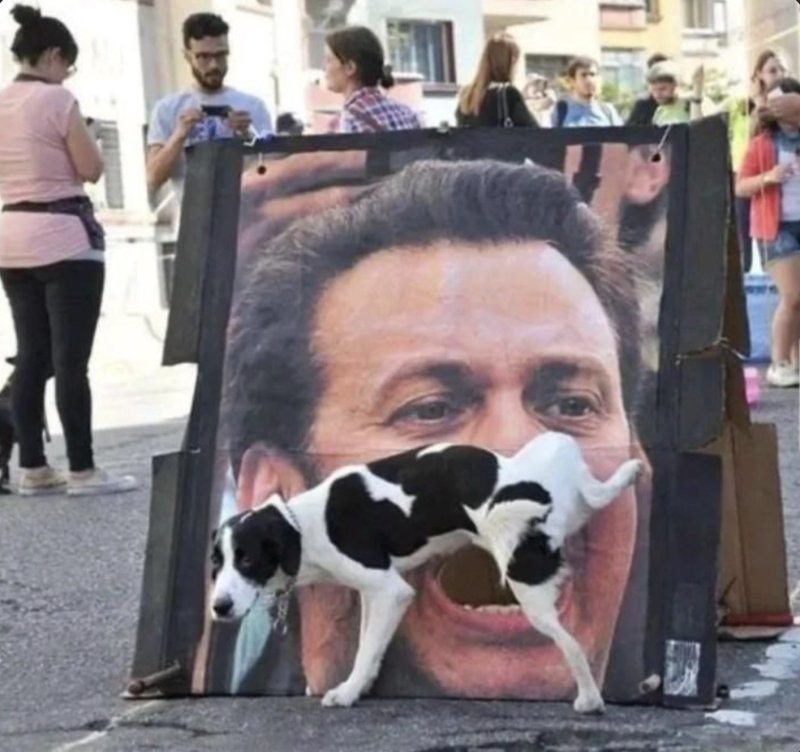 
        20&nbsp;фото животных, которые одновременно умиляют и&nbsp;пугают    