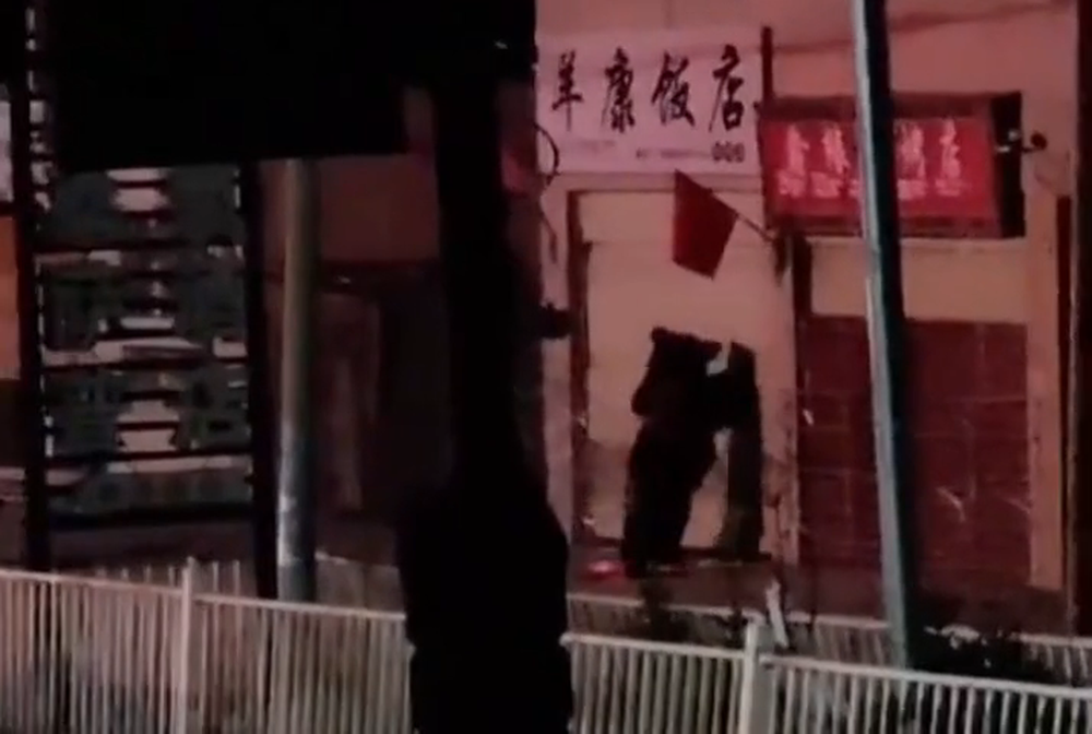 Голодные медведи залезли в ресторан в Китае
Голодные медведи залезли в ресторан в Китае