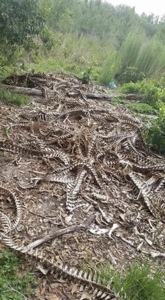 Подборка жутких фото (20 фото)