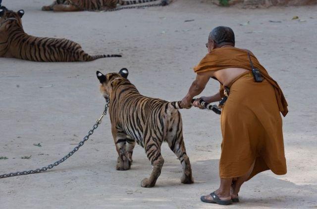 Подборка прикольных фото №3886