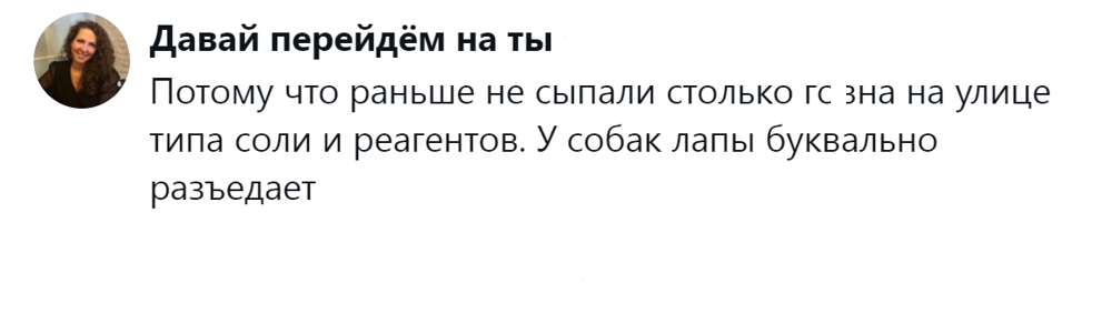 Собачники и не только обсуждают собачий дресс-код, который эволюционировал от свободы к пуховику
Собачники и не только обсуждают собачий дресс-код, который эволюционировал от свободы к пуховику