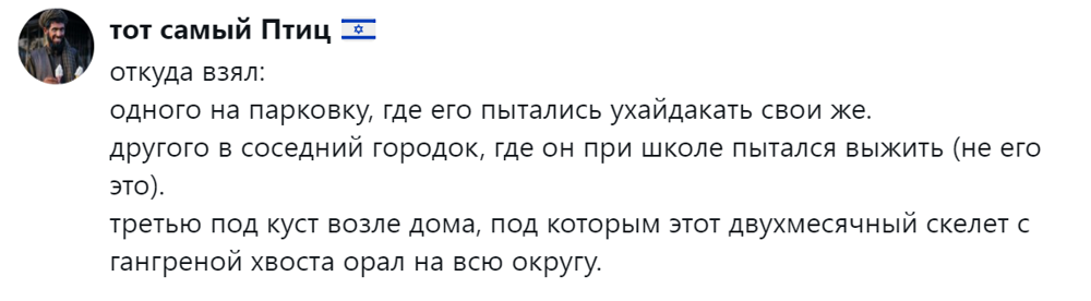
        &laquo;Цыганам или&nbsp;в&nbsp;кошачий детдом&raquo;: пользователи назвали места, куда грозят отдать кота после переполнения чаши терпения    