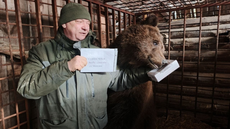 История №1581259