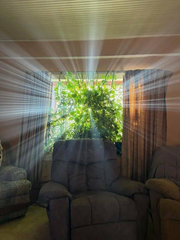 Подборка прикольных фото №3880