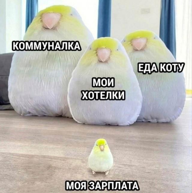 Смешные картинки